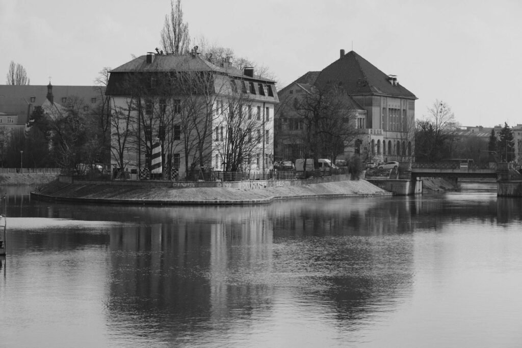 węgorz wiosna Odra